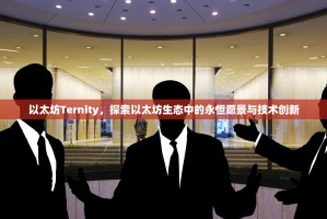 以太坊Ternity，探索以太坊生态中的永恒愿景与技术创新