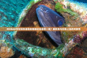 交易城里的品质之光，九牧卫浴与欧普照明的筑家搭档