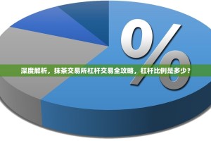 深度解析，抹茶交易所杠杆交易全攻略，杠杆比例是多少？