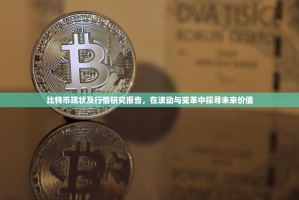 比特币现状及行情研究报告，在波动与变革中探寻未来价值