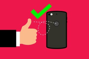 双子星交易所与抹茶，当加密世界的星辰邂逅东方的禅意