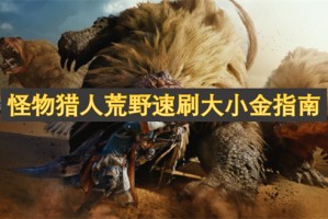 怪物猎人荒野速刷大小金指南[多图]