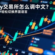 欧y交易所怎么调中文？三步轻松切换界面语言