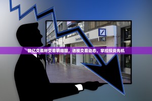 欧亿交易所交易明细图，透视交易动态，掌控投资先机