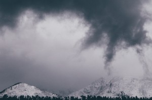 Bitget合约大数据中心，赋能量化交易，引领加密市场新纪元