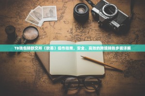 TB钱包转欧交所（欧易）操作指南，安全、高效的跨境转账步骤详解