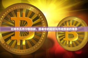 比特币五月行情回顾，图表中的起伏与市场情绪的博弈