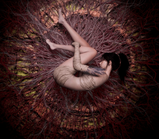 small_202508140929064744.png small_202508140929064744.png